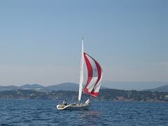 la solitaire 055